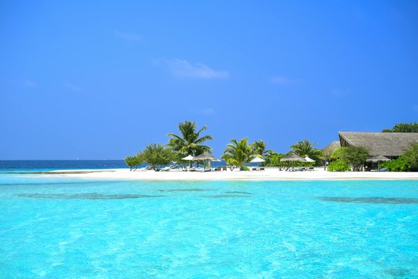 Location maison à brignogan-plage : découvrez votre séjour parfait
