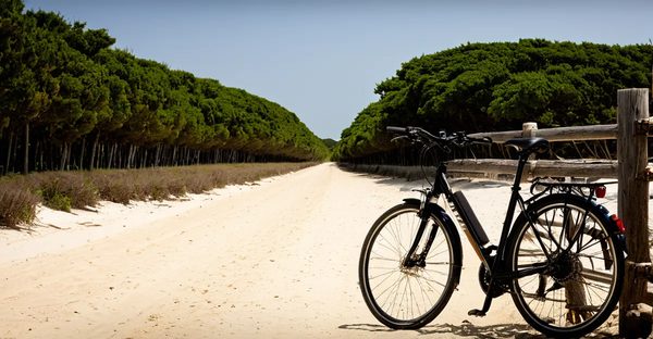 Location vélo cap ferret : guide pratique et options à petit prix